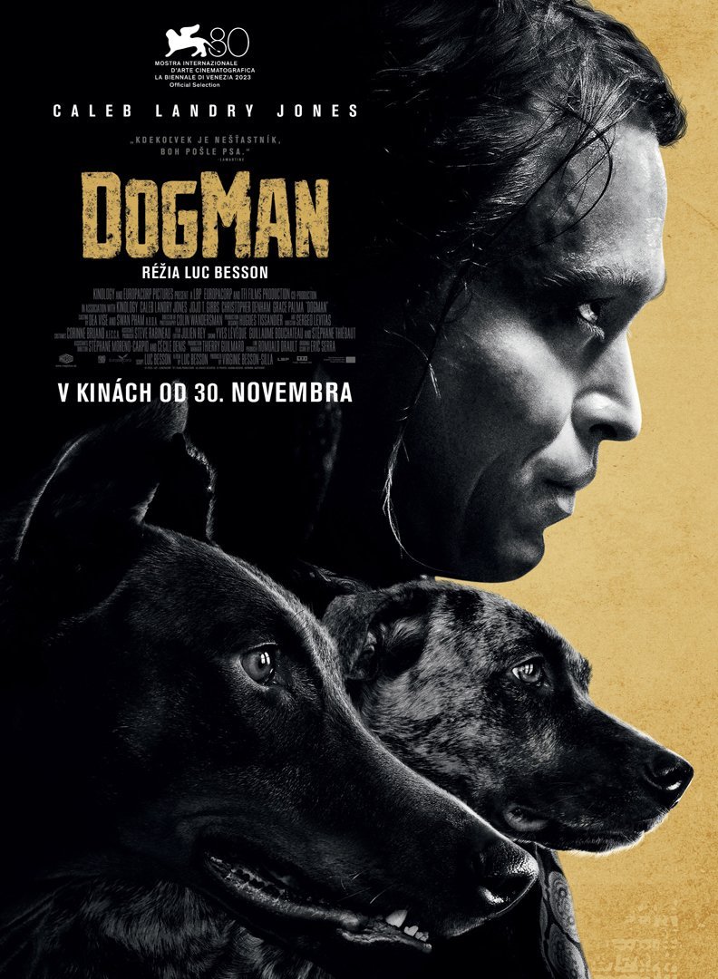 films/2023/11/admid33339/33339.jpeg