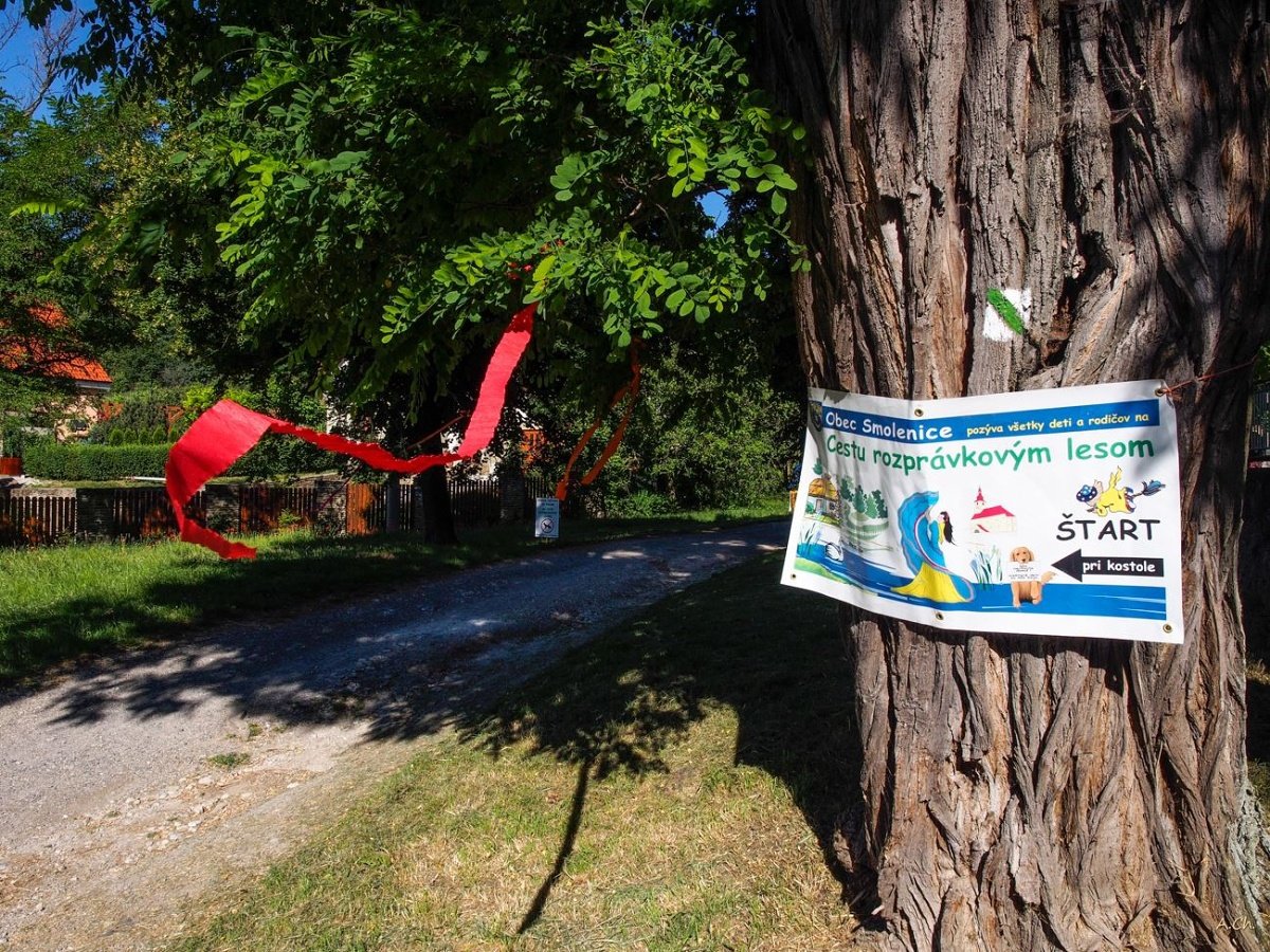 cesta-rozpr-lesom-smolenice-1.jpg