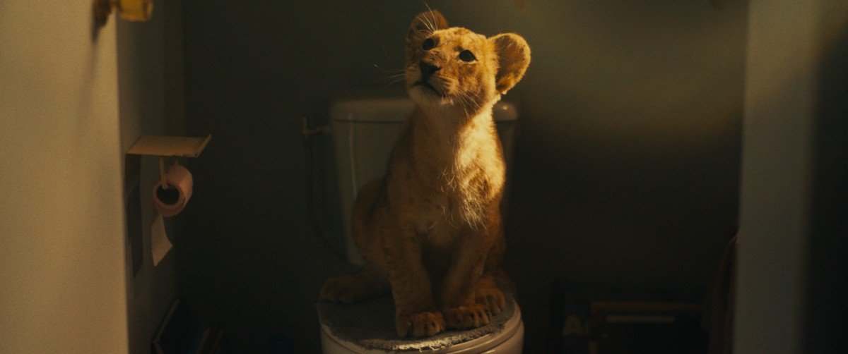 king-10.jpg