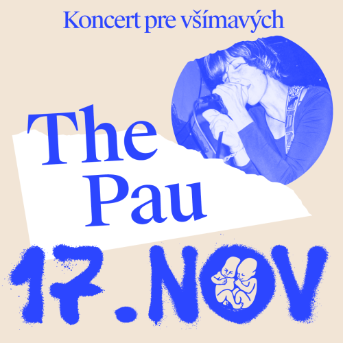 koncert-pre-vsimavych-artist-the-pau.png