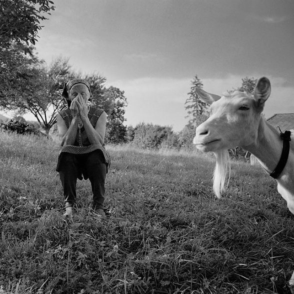 Na Art Film Feste bude súťažiť 36 krátkych filmov z celého sveta