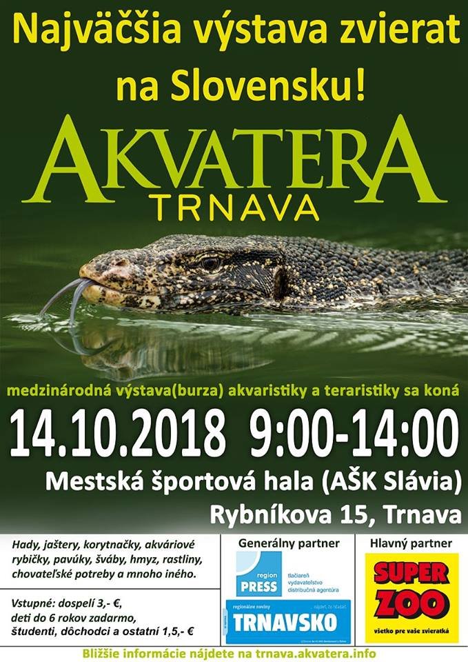 events/2018/10/admid0000/images/trnava.jpg