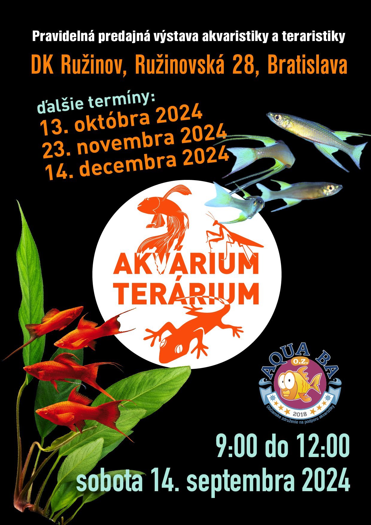 events/2024/09/admid155310/155310.jpeg
