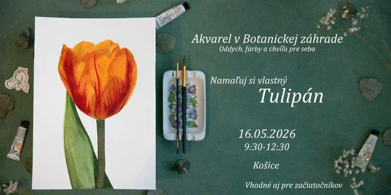 events/2026/05/admid172804/172804.webp