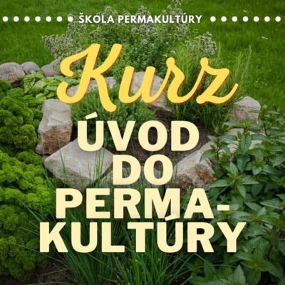 events/2026/05/admid172887/172887.jpeg