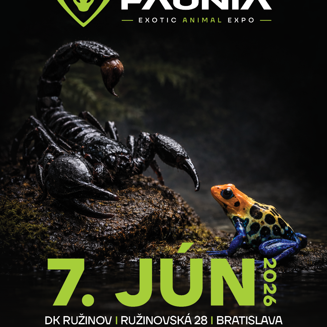 events/2026/06/admid174172/174172.png