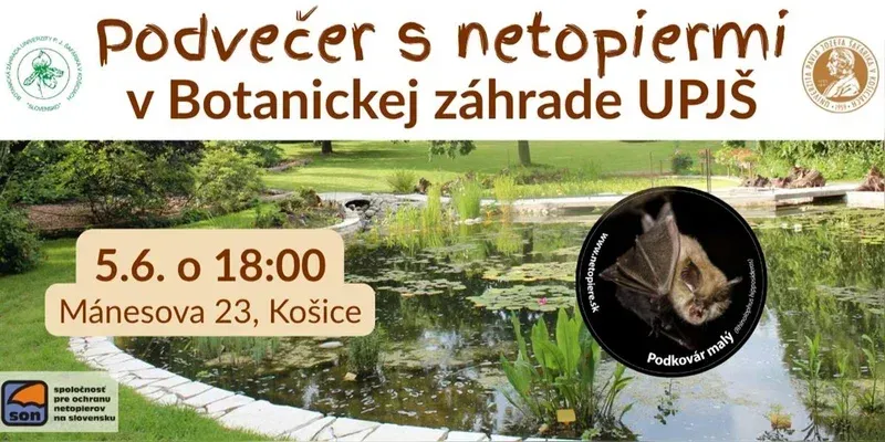 events/2026/06/admid174303/174303.webp