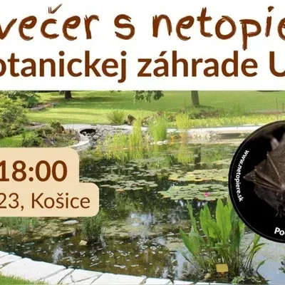 events/2026/06/admid174303/174303.webp