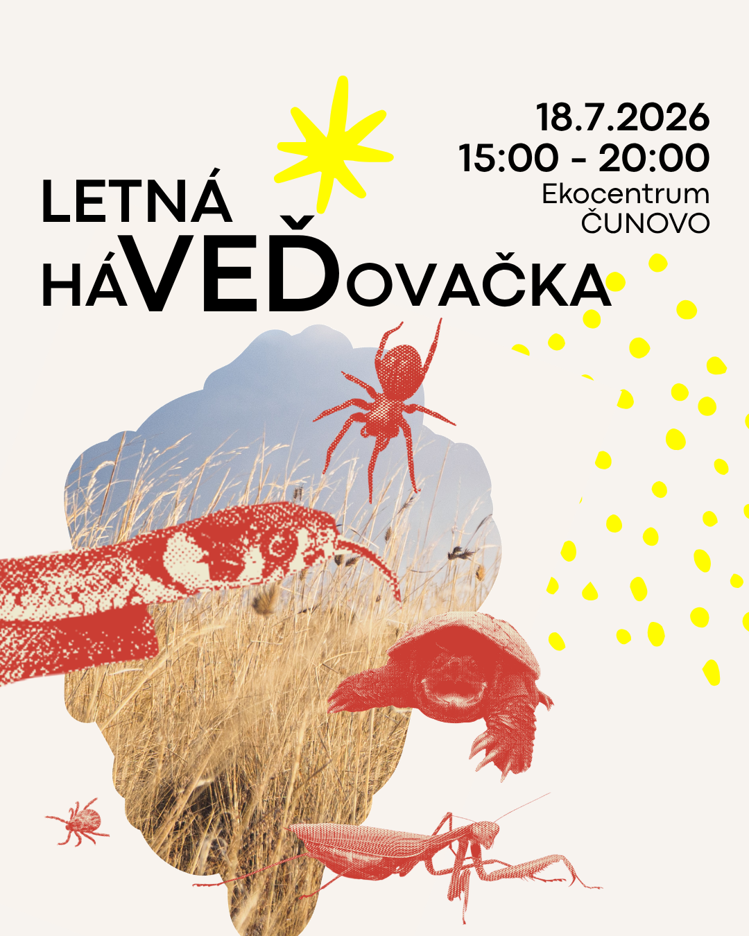 events/2026/07/admid175951/175951.png