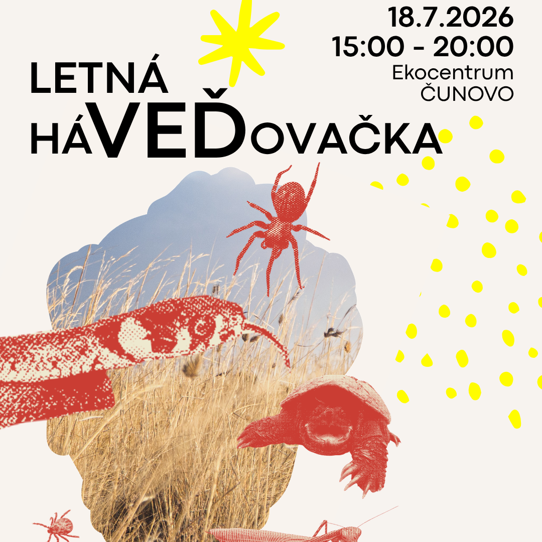 events/2026/07/admid175951/175951.png