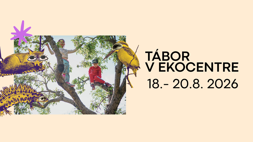 events/2026/08/admid177645/177645.png