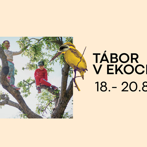 events/2026/08/admid177645/177645.png