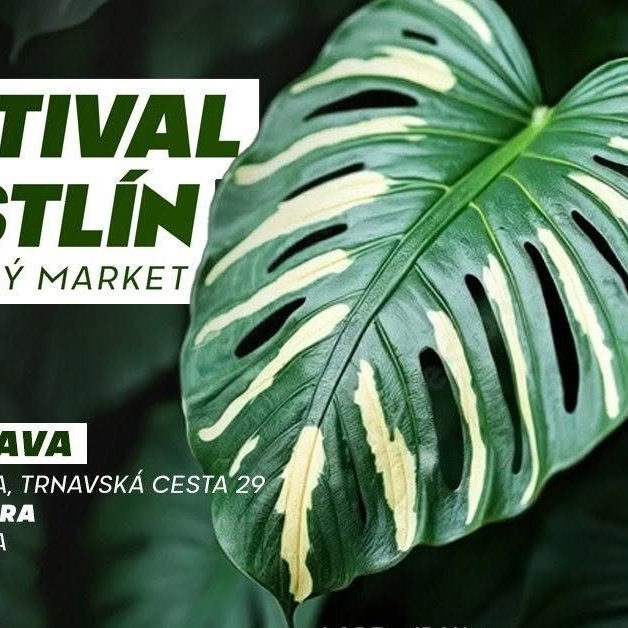 events/2026/09/admid179752/179752.jpeg