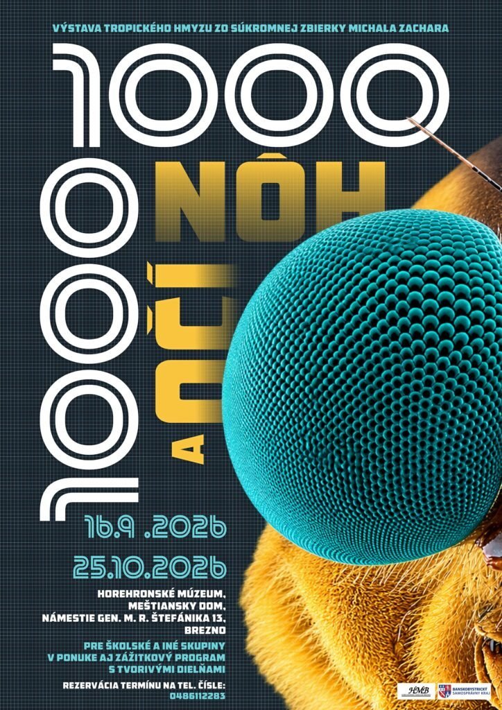 events/2026/09/admid181062/181062.jpeg