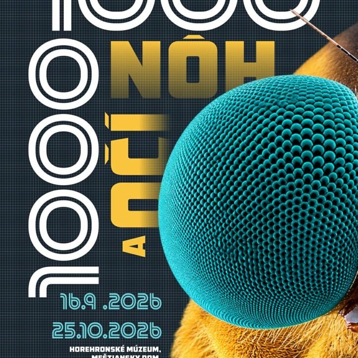 events/2026/09/admid181062/181062.jpeg