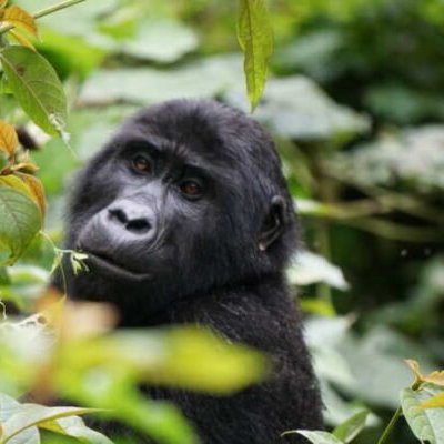 events/2026/09/admid181067/181067.jpeg
