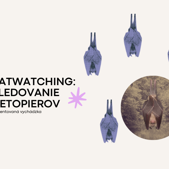 events/2026/09/admid181160/181160.png